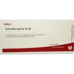 ARTICULATIO GENUS GL D 8, 10X1 ML
